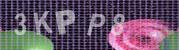 Anti-Spam-Code